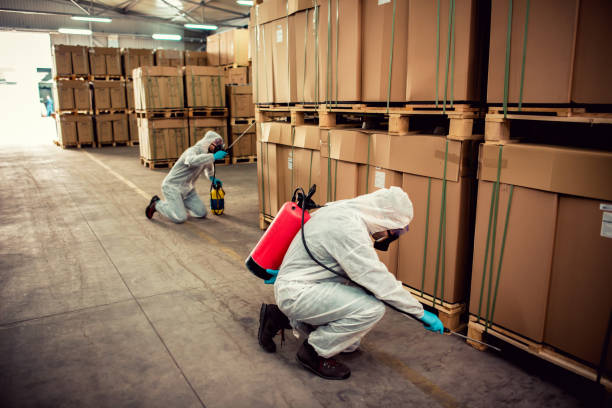Best Emergency Pest Control  in Star, NC