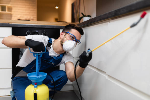 Best Wasp Removal Services  in Star, NC