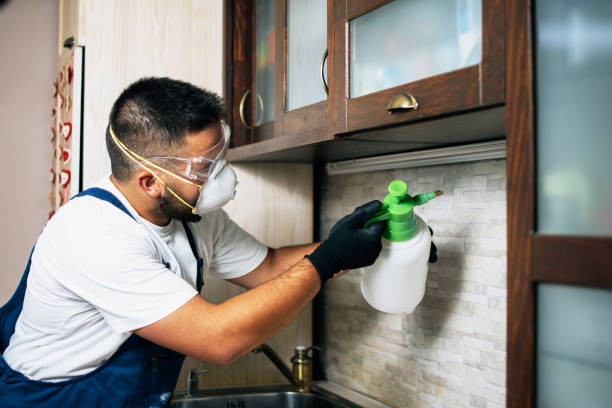 Best Pest Inspection Near Me  in Star, NC