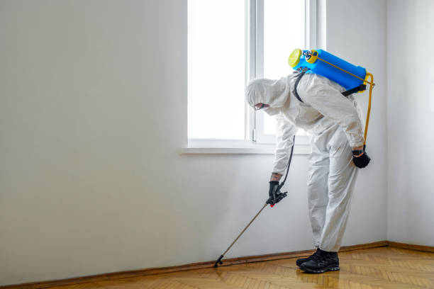 Best Best Pest Control Companies  in Star, NC