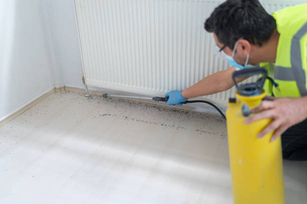 Best Commercial Pest Control Services  in Star, NC