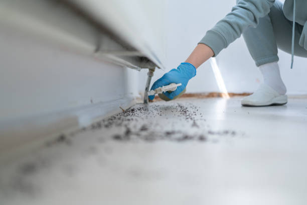 Trusted Star, NC Pest Control Experts